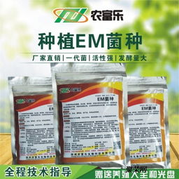 发酵饲料在制作过程中是否需要压实以促进发酵效果？