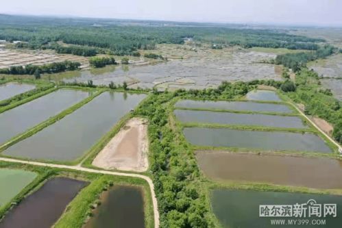 恩施巴东的企业，有特色