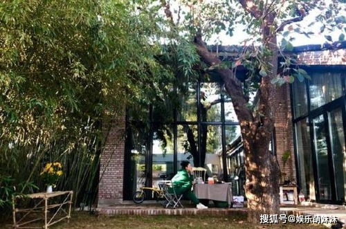 庭院里的宝贝——黄杨的传说与价值