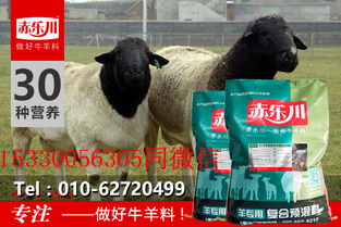 花鲢饲料配方中，如何科学添加植物蛋白源以提高饲料利用率？