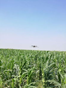 灭多威的毒性大小