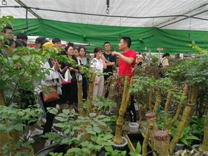 花卉学：理论与实践的结合