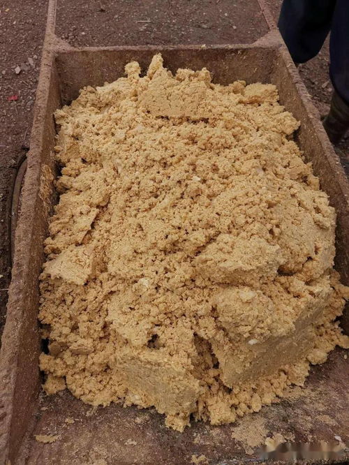 发酵饲料放在阴暗处对发酵效果有影响吗？
