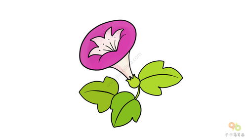 哎哟， kankan这个牵牛花简笔画咋画的吧