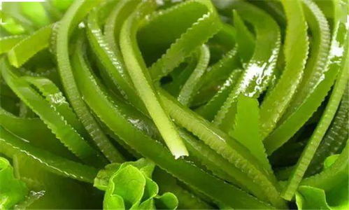 超市里的绿色小秘密