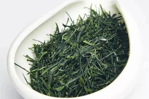 立秋后玉露需水量大吗？