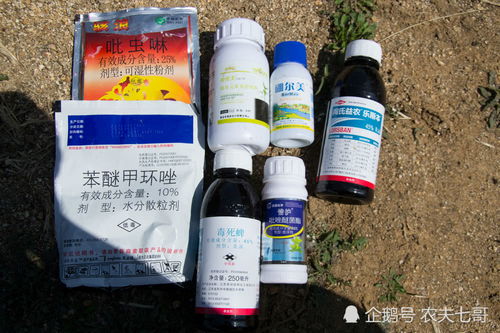 杀虫剂的使用方法