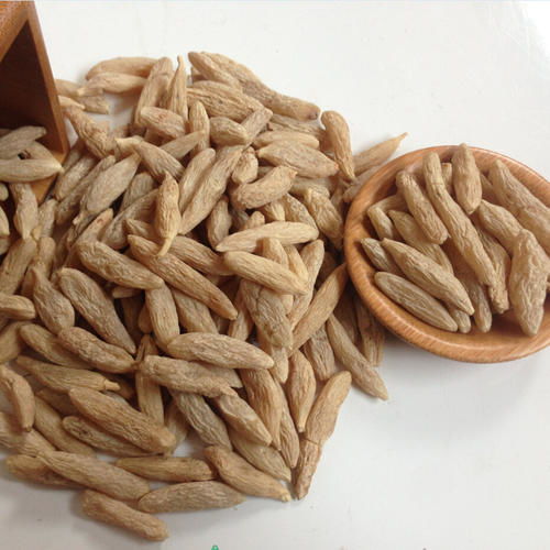 麦冬草施肥的黄金时段揭秘