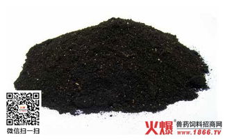 花生壳低成本发酵技术做牛饲料，实测增重数据如何？