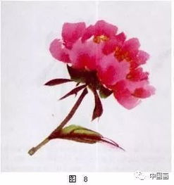 牡丹花绘画教程，新手如何轻松上手