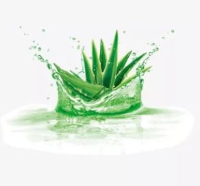 第一步：清洁皮肤， 芦荟来帮忙