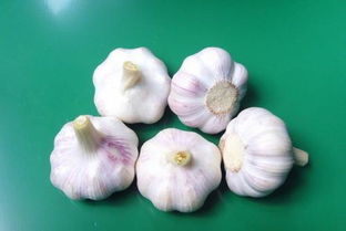 什么添加剂会产生大蒜气味？大蒜味道的气体成分是什么？