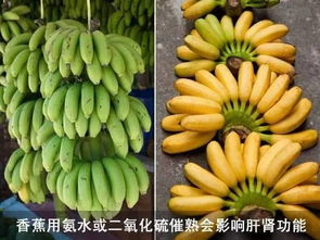 金锄头农业技术库：香蕉园化学除草剂选用