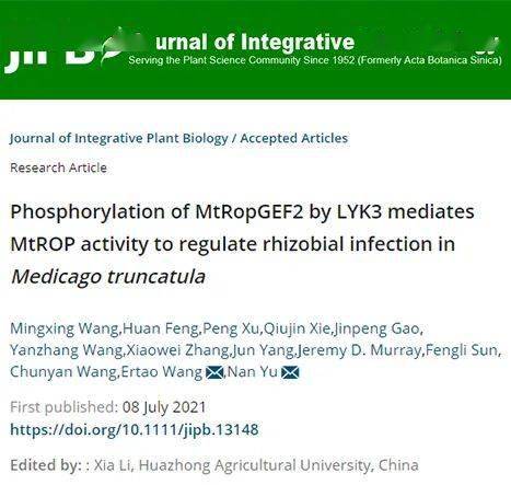 植保技术员的亲身经历：用药要讲究方法