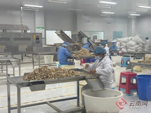 第一招：得有个好心态