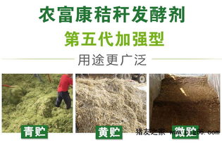 小麦秸秆饲料按照最新标准，有哪些发酵方式？