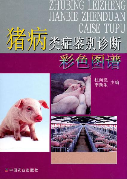 kan猪粪便Neng识别哪些颜色对应的猪病？