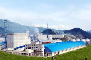 贵州盛世项目管理咨询有限公司