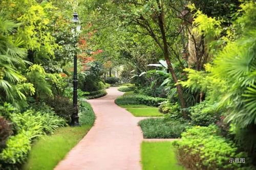 创立与发展：从深圳到全国