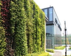 护坡植物种类揭秘：美丽与实用并存