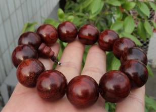 小叶紫檀种植：新手如何避免三大坑， 提升成活率60%