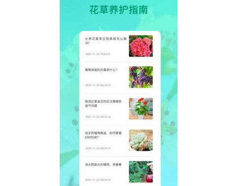 科技让识物变得简单， 互动梗加直观