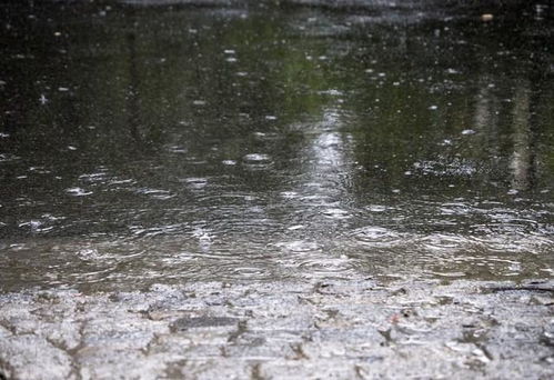 雨滴滴答，农药飘扬？