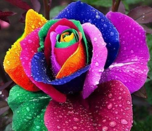 透明玻璃瓶，透亮又清爽