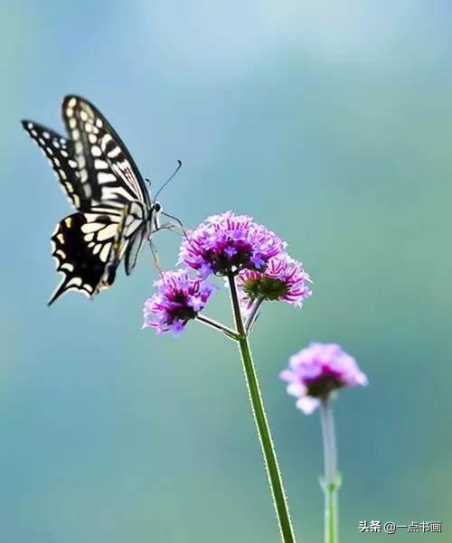 一楼的阳光，虽不足，却温暖