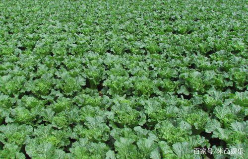 使用方法要得当， 否则白费功夫