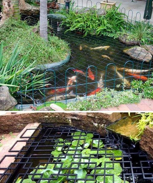 生态水池的制作