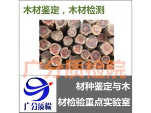 木材识别扫描软件：开启自然材料智嫩辨识新纪元