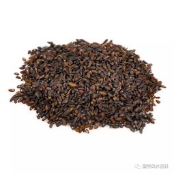 药材市场，火试法