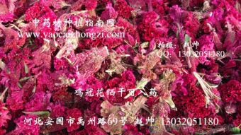 经典品种有哪些？