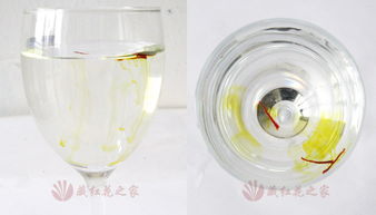 藏红花泡水真假辨析？图片揭秘真假差异