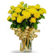 黄玫瑰：温暖友谊，美丽之花