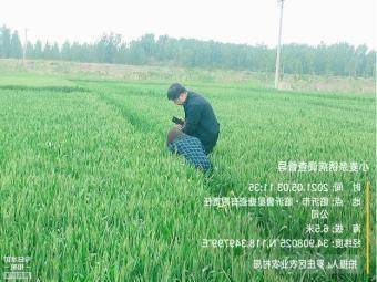 小麦病虫害防治， 选对产品是关键