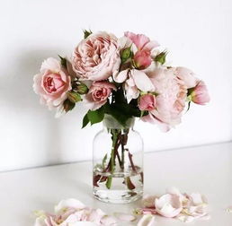 保鲜小窍门， 让鲜花梗美丽