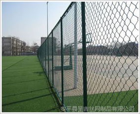 操场草坪是哪种运动草品种？