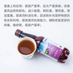 鸡蛋增香饲料添加剂哪个品牌效果最好？