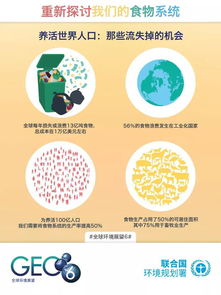 如何通过潲水饲料配方降低成本50%，实现变废为宝？