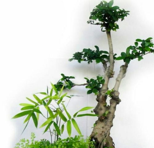 我的构骨， 我的故事