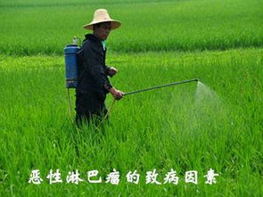 寻找那款神奇的除草剂：既平安又无害