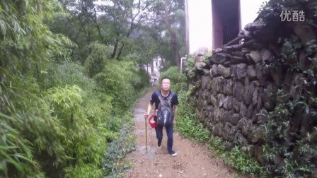 《行道树》中的“行”读什么音？