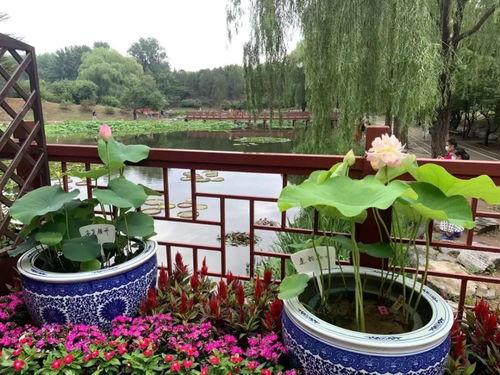 注意搭配和布局