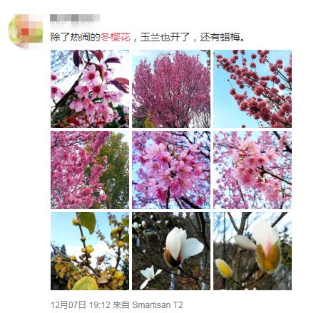 樱花何时绽放？赏花地点在哪里