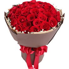 光照，红玫瑰的“阳光伙伴”