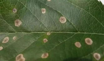 这俩宝贝用途广