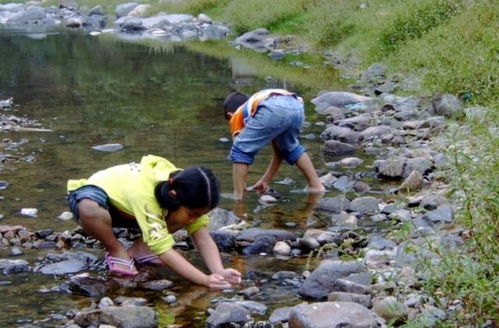 诱饵的神奇力量