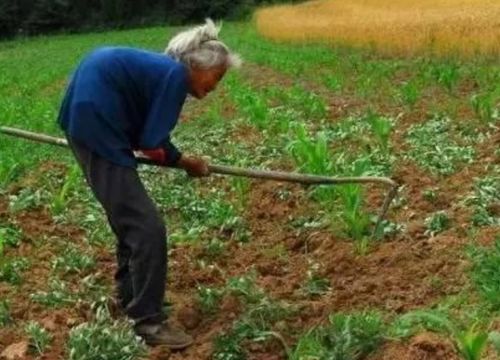 农药，到底是个啥？